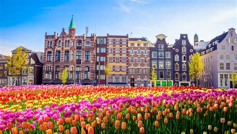 capital in netherlands